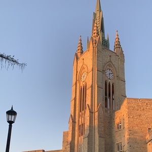 Meet your Posher, Rosie